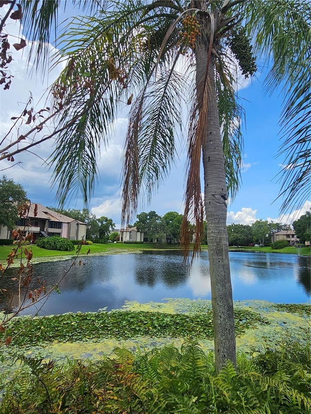 view of water feature