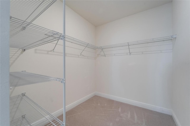 spacious closet with light colored carpet