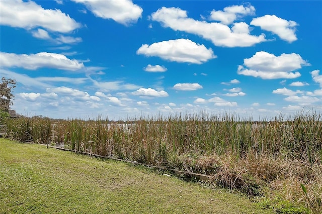 view of local wilderness