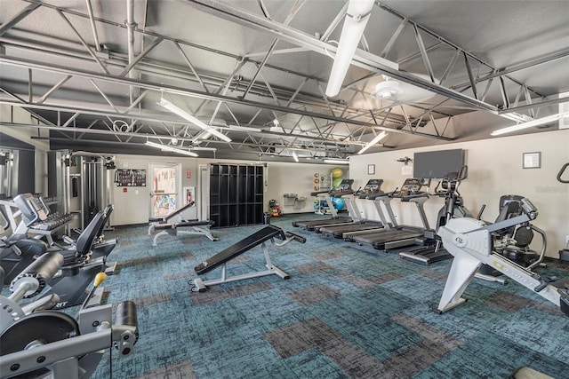 workout area featuring carpet flooring