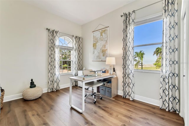 office space with wood-type flooring