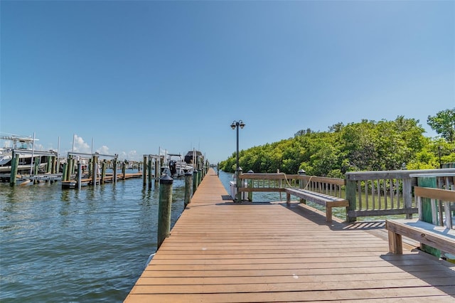 dock area with a water view