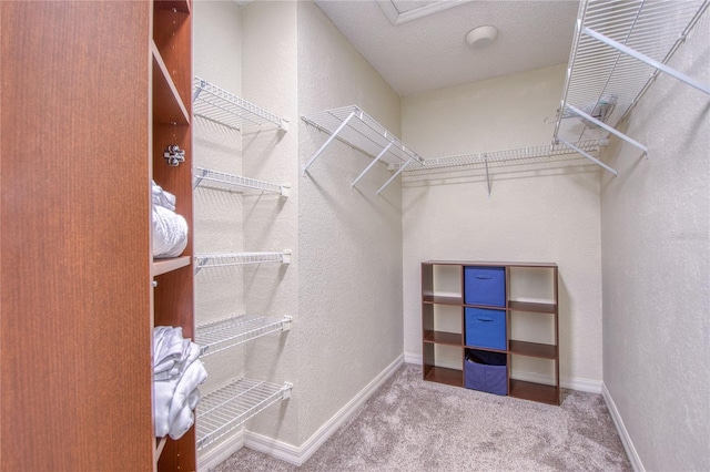 walk in closet featuring carpet floors