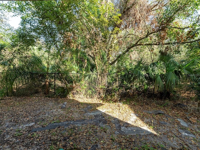 4734 Chatterton Way, Riverview, FL 33578 - view of yard with fence