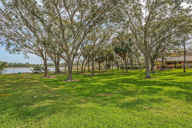 view of yard featuring a water view