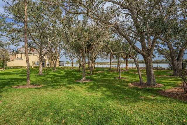 view of yard with a water view