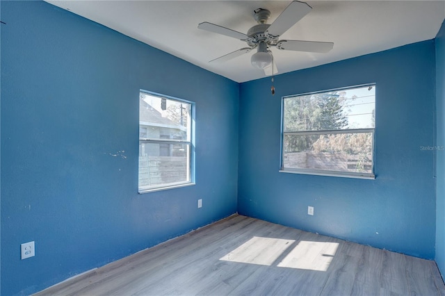 spare room featuring light hardwood / wood-style flooring and ceiling fan