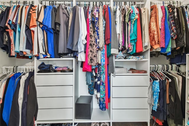 view of spacious closet