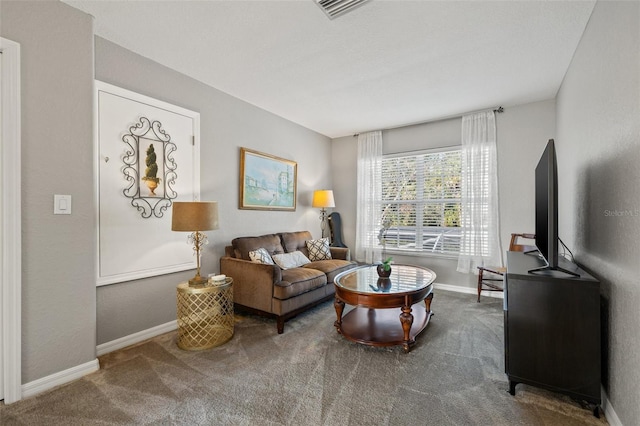 living room featuring carpet floors