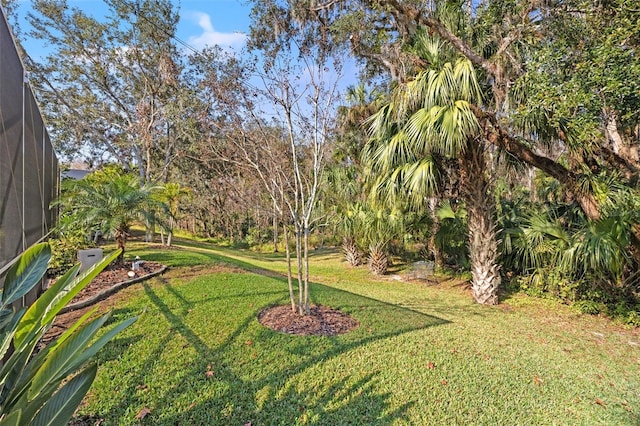 view of yard featuring a lanai