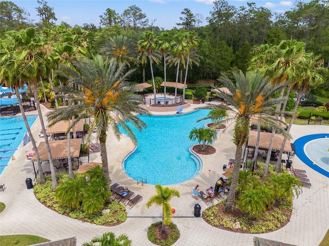 view of pool featuring a patio