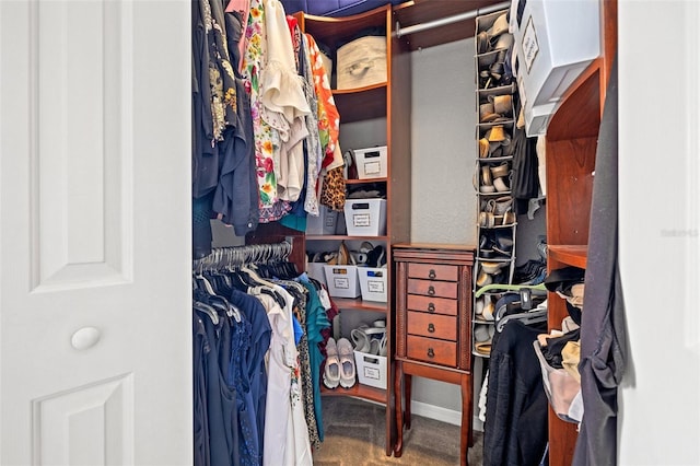 view of walk in closet