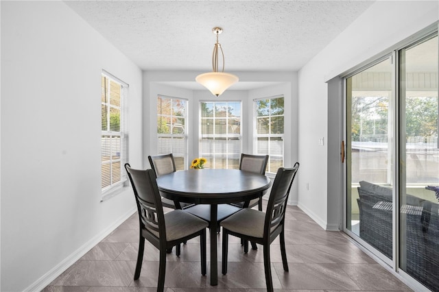 dining room featuring a healthy amount of sunlight and a textured ceiling