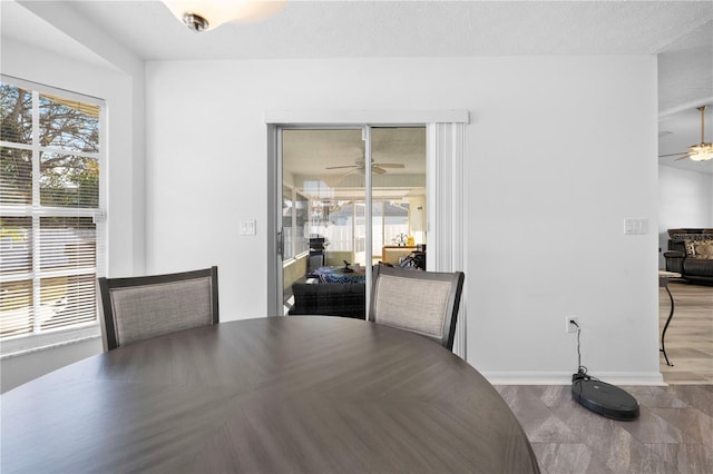 dining room with plenty of natural light, a textured ceiling, and ceiling fan