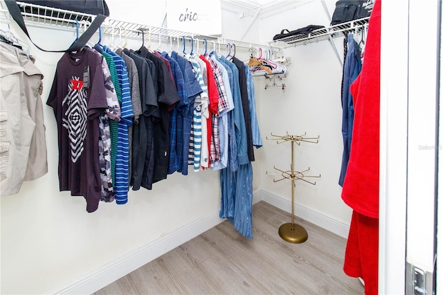 spacious closet with hardwood / wood-style floors