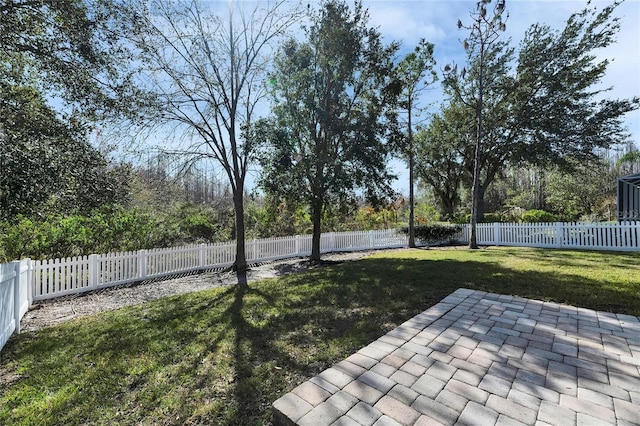 view of yard featuring a patio area