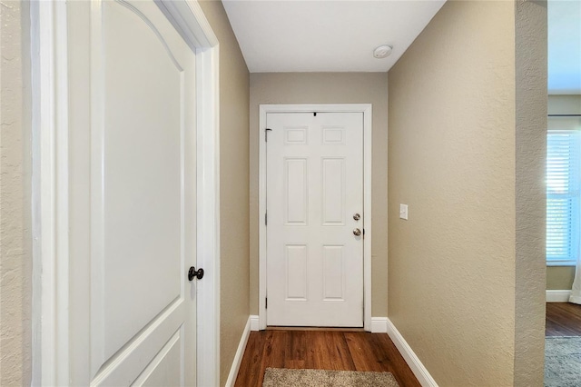 doorway to outside with dark hardwood / wood-style flooring