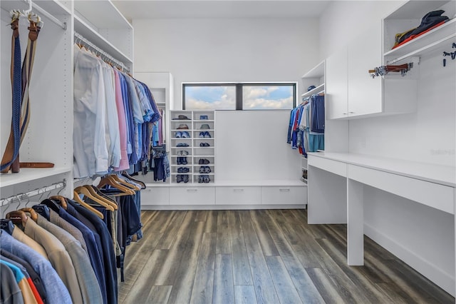 walk in closet featuring dark hardwood / wood-style flooring