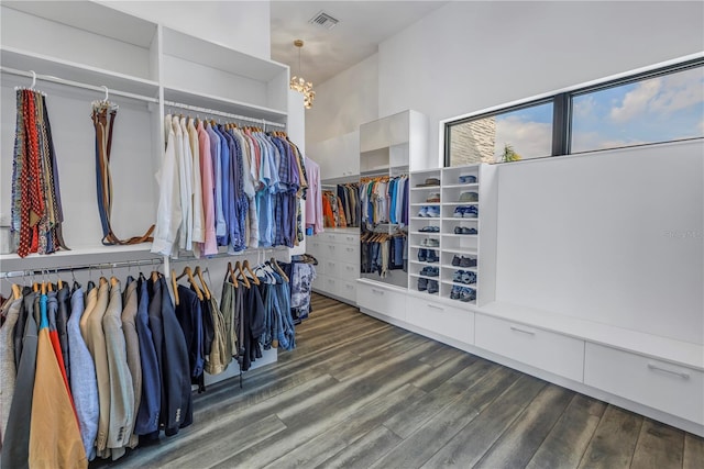 spacious closet featuring dark hardwood / wood-style flooring