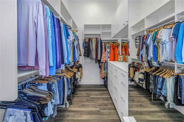 walk in closet with dark wood-type flooring