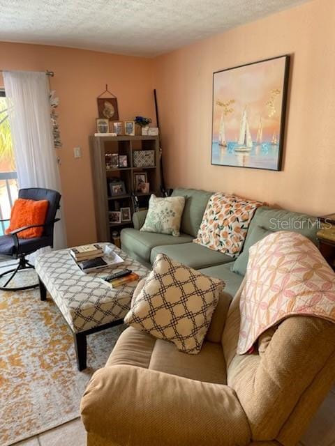 living room with a textured ceiling