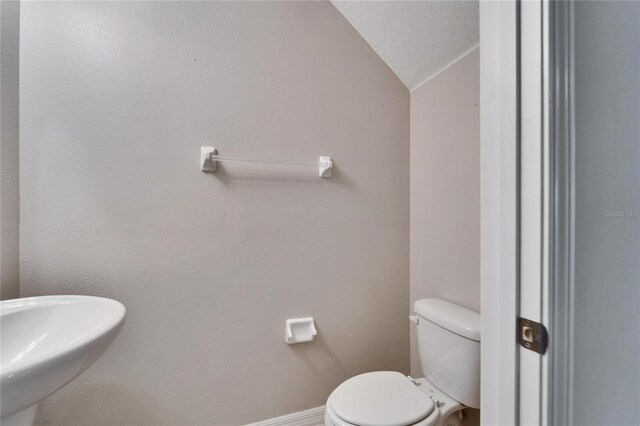 12973 Dream Catcher Way, Riverview, FL 33579 - bathroom with sink, a textured ceiling, vaulted ceiling, and toilet