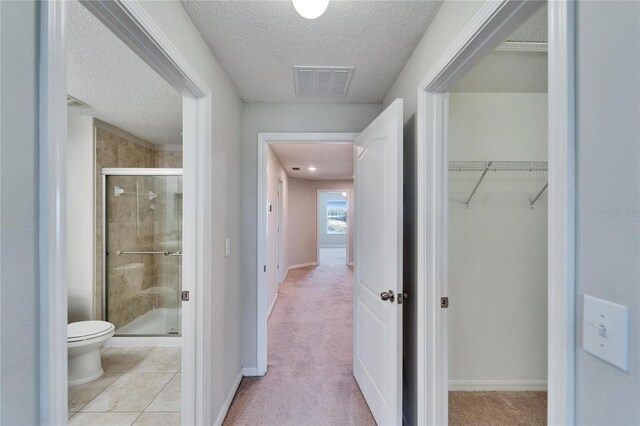 12973 Dream Catcher Way, Riverview, FL 33579 - corridor with light carpet and a textured ceiling