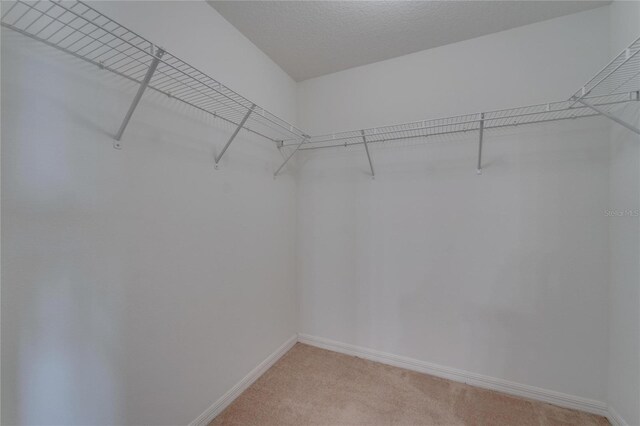 12973 Dream Catcher Way, Riverview, FL 33579 - spacious closet featuring light colored carpet