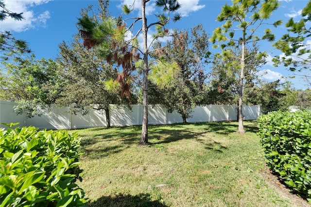 12973 Dream Catcher Way, Riverview, FL 33579 - view of yard