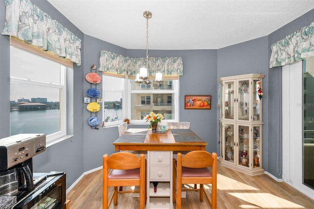 dining space featuring an inviting chandelier, light hardwood / wood-style floors, and a water view