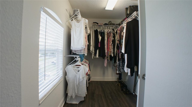 walk in closet featuring dark hardwood / wood-style flooring