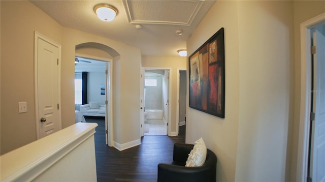 hallway with dark hardwood / wood-style flooring