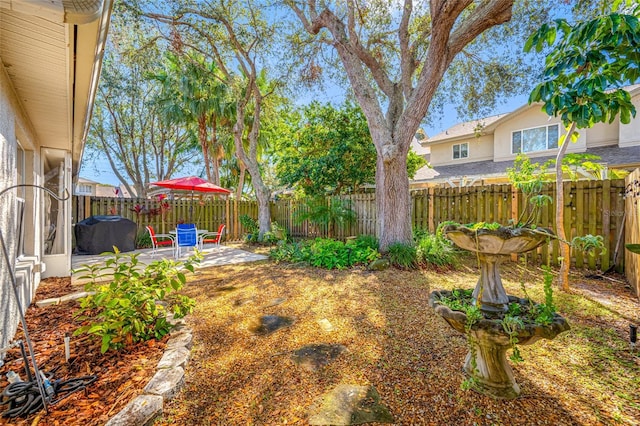 view of yard featuring a patio area