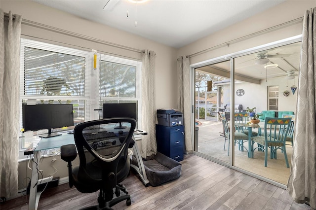 office featuring wood-type flooring and ceiling fan