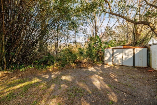 view of yard featuring a storage shed