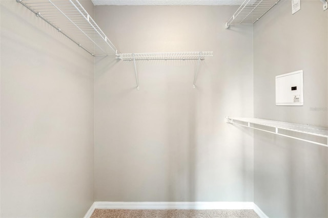 spacious closet with carpet flooring