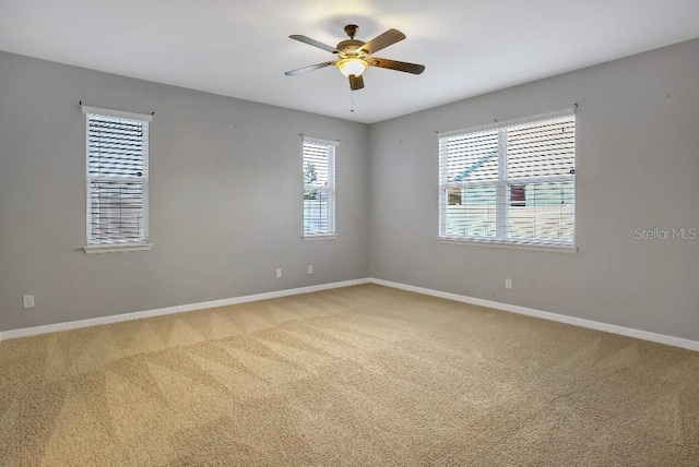 empty room featuring ceiling fan and carpet floors