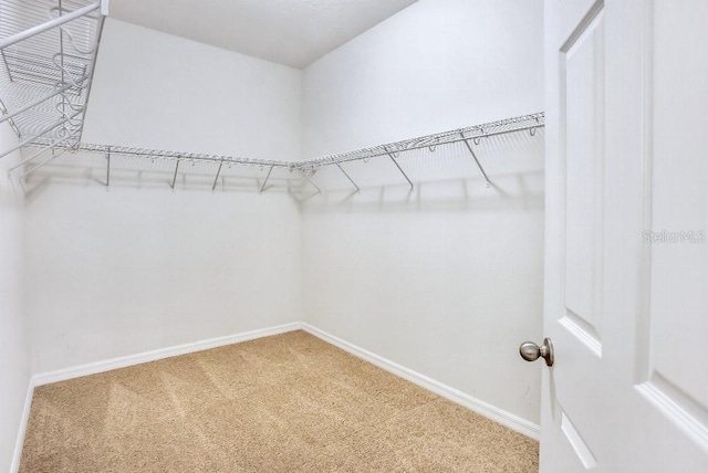 spacious closet with carpet floors