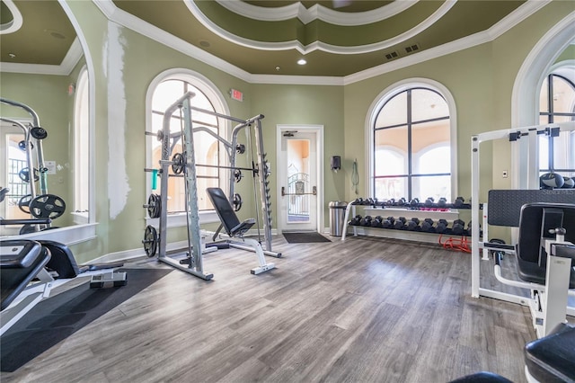 workout area featuring crown molding, wood finished floors, and a healthy amount of sunlight