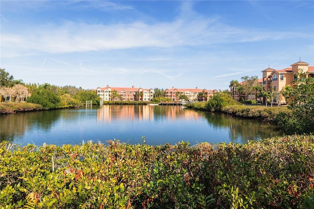 water view with a residential view