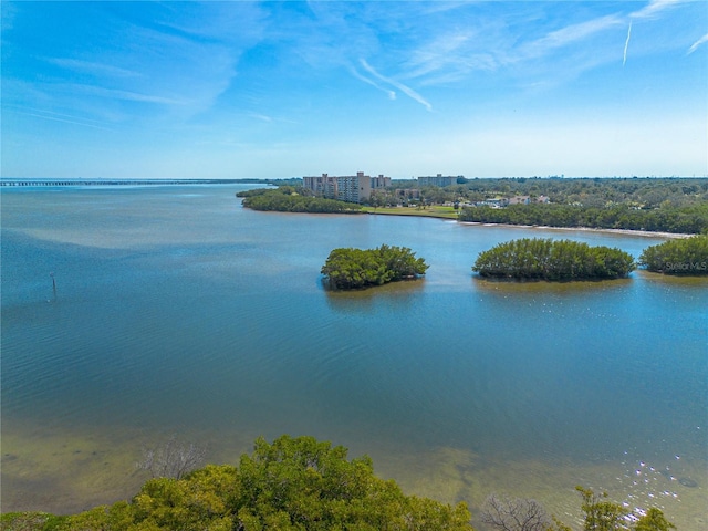 water view featuring a city view