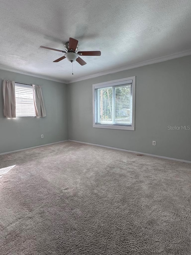 empty room with ornamental molding and carpet