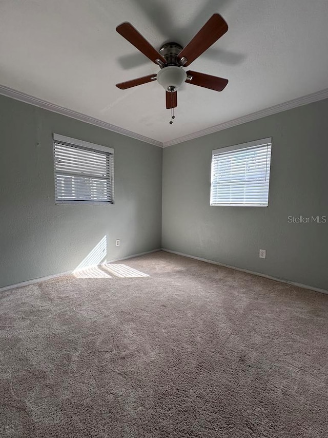 spare room featuring crown molding, carpet flooring, and ceiling fan