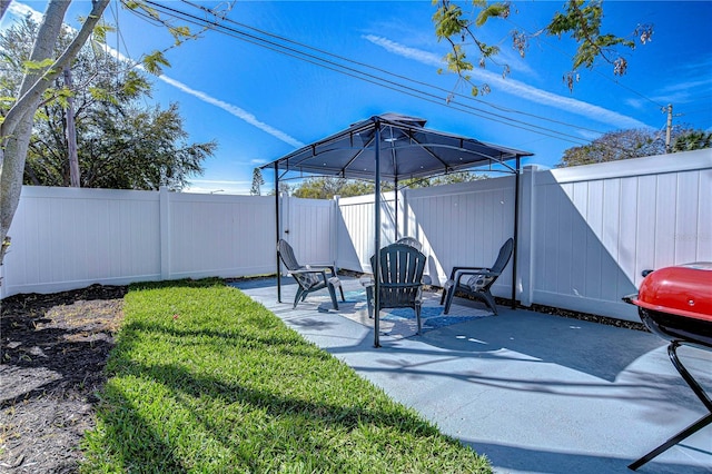 view of yard with a patio area and a fenced backyard