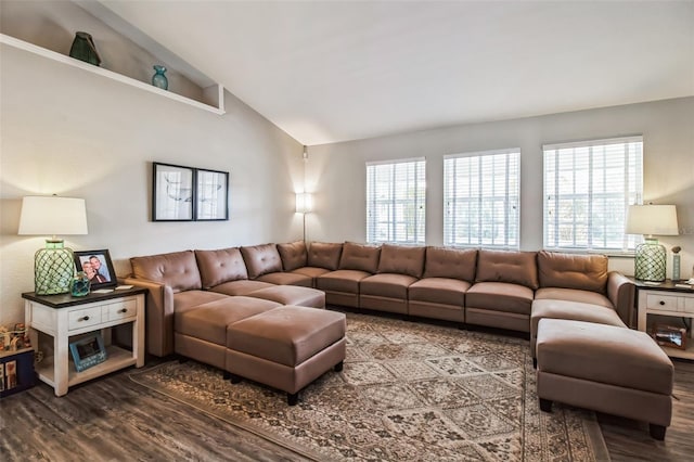 living room with lofted ceiling and hardwood / wood-style floors