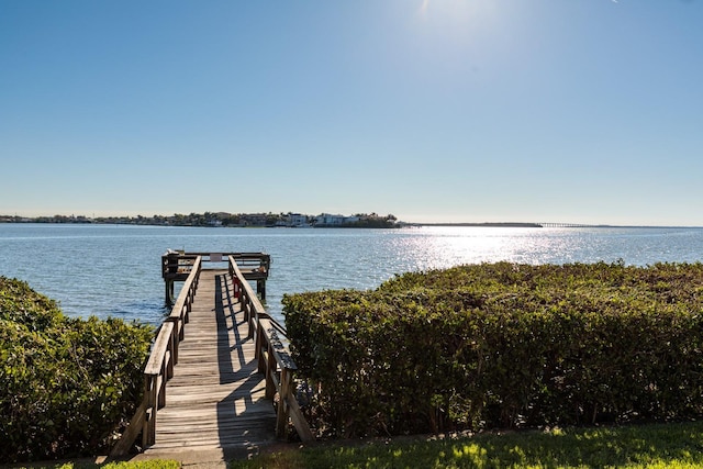 dock area with a water view