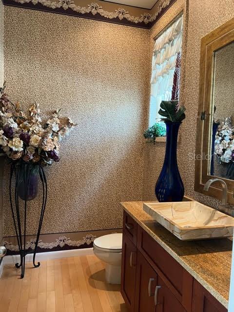 bathroom with wood-type flooring, sink, and toilet