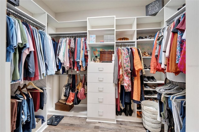 walk in closet with wood finished floors