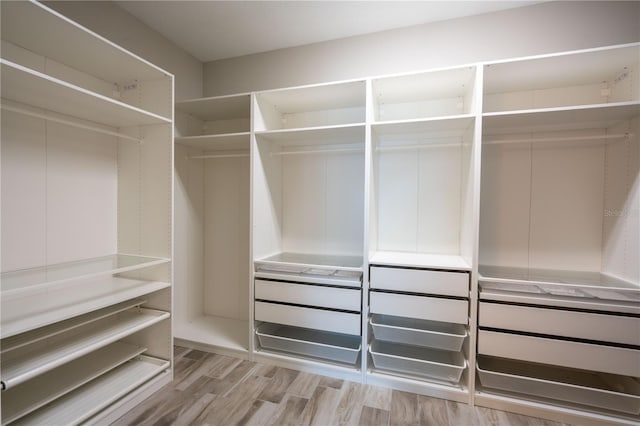 spacious closet featuring light hardwood / wood-style flooring