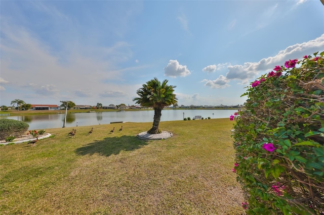 view of yard with a water view